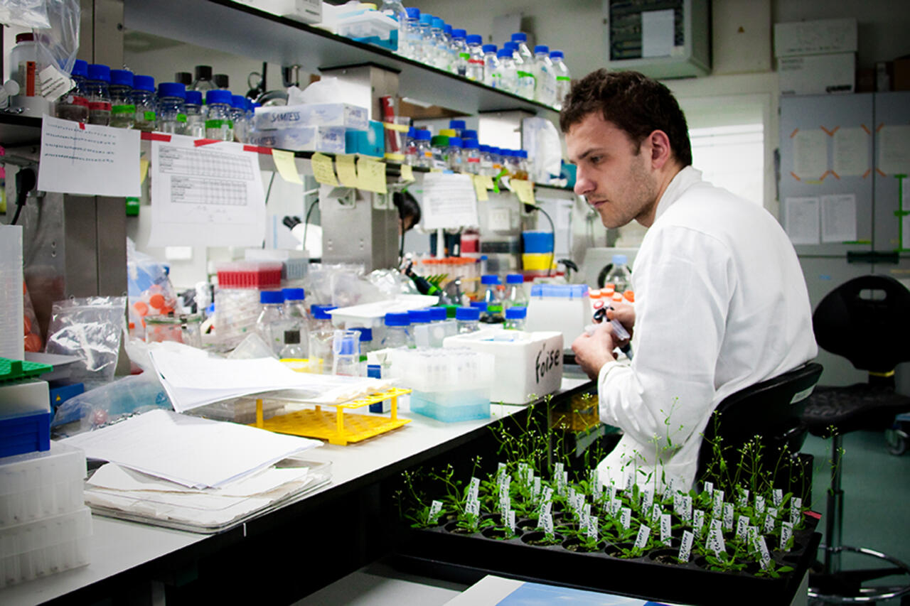 Plant technology: researcher in lab at VIB